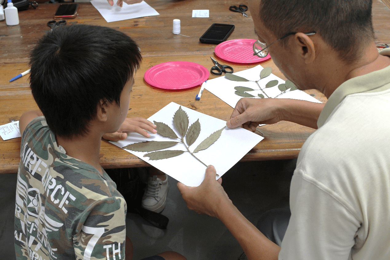 台北典藏植物園暑期手作課程　百名市民共創綠意回憶