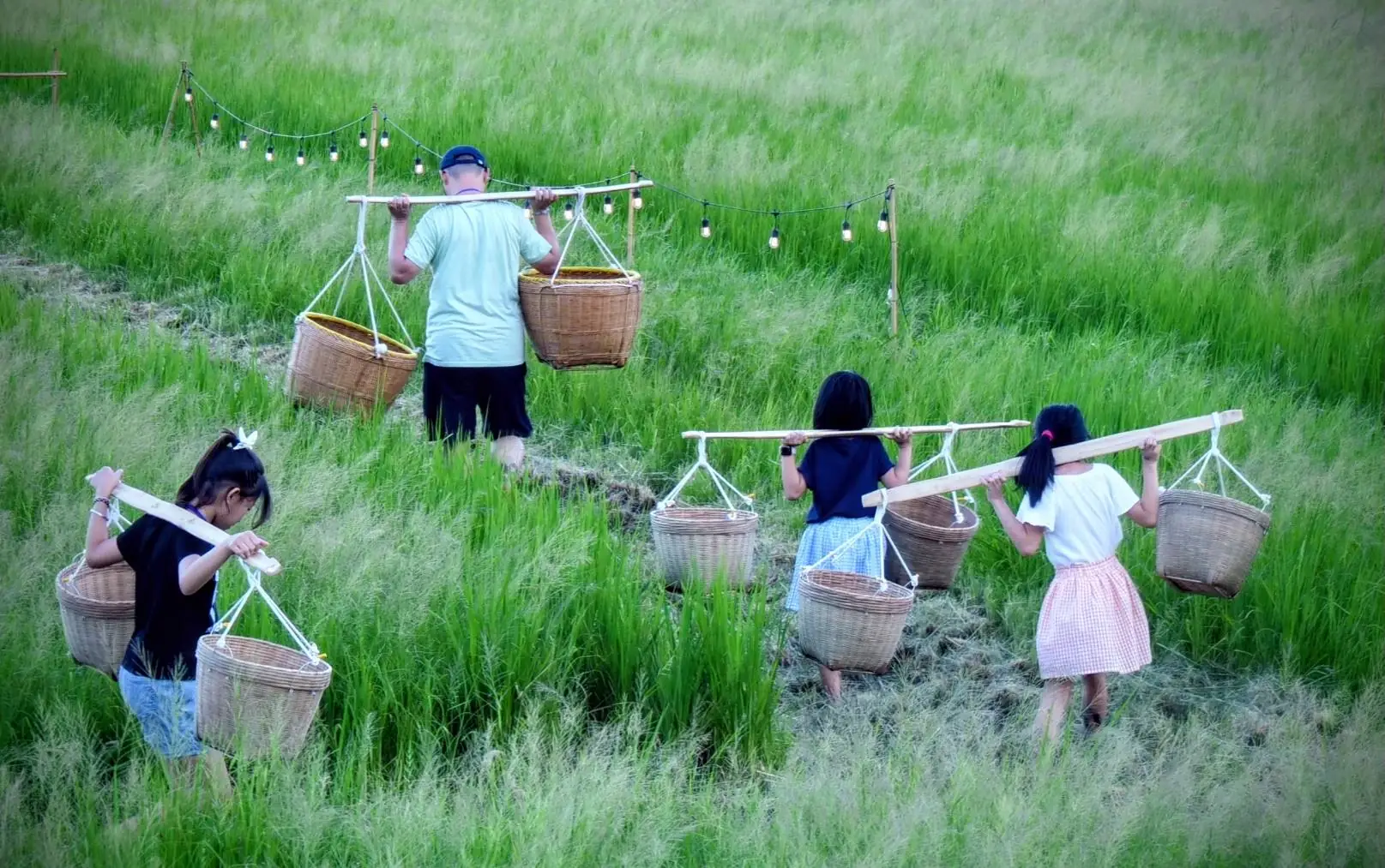 秋收體驗「關渡那麼田」　運動會、音樂會感受土地魅力