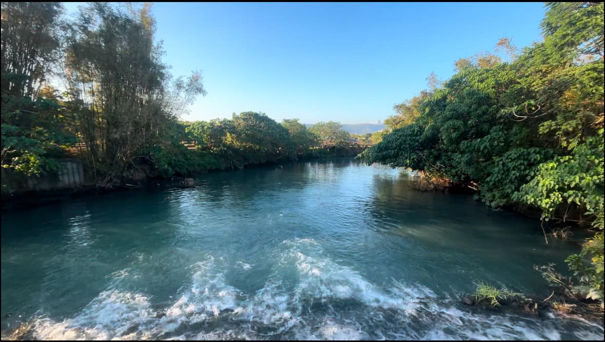 2025 五分港溪秋之⼤地藝術祭  欣賞臺北市最美河川