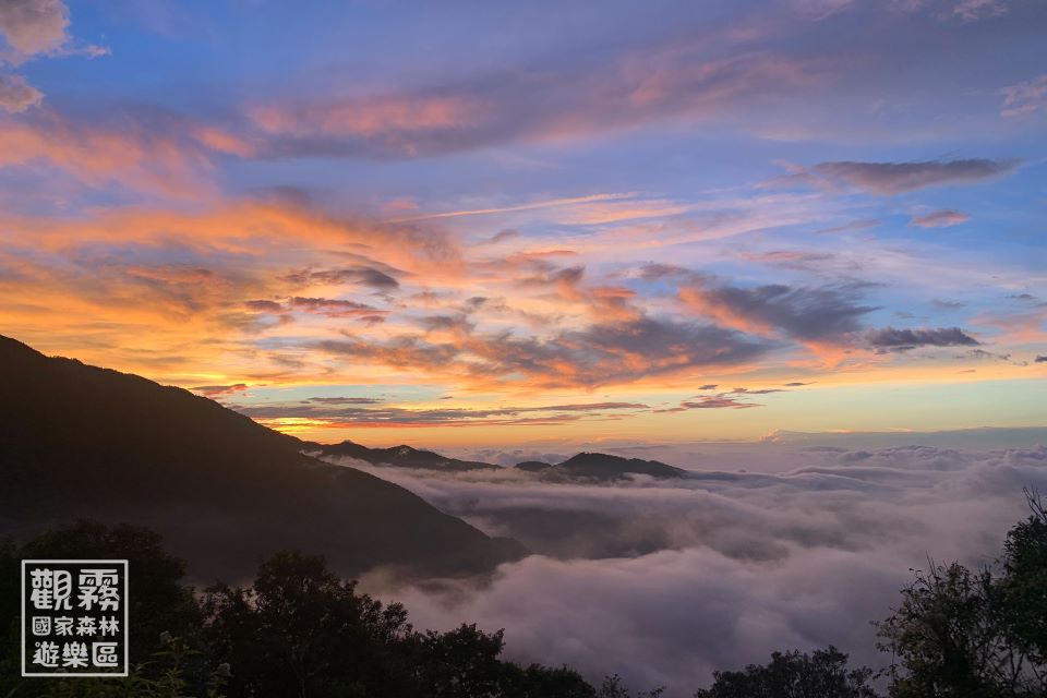 走進水故鄉雲霧森林  觀雲看霧解讀絕美畫卷