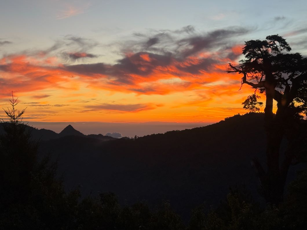 歡慶雙十來趟秋日森林慢旅  遠離塵囂半票優惠入園