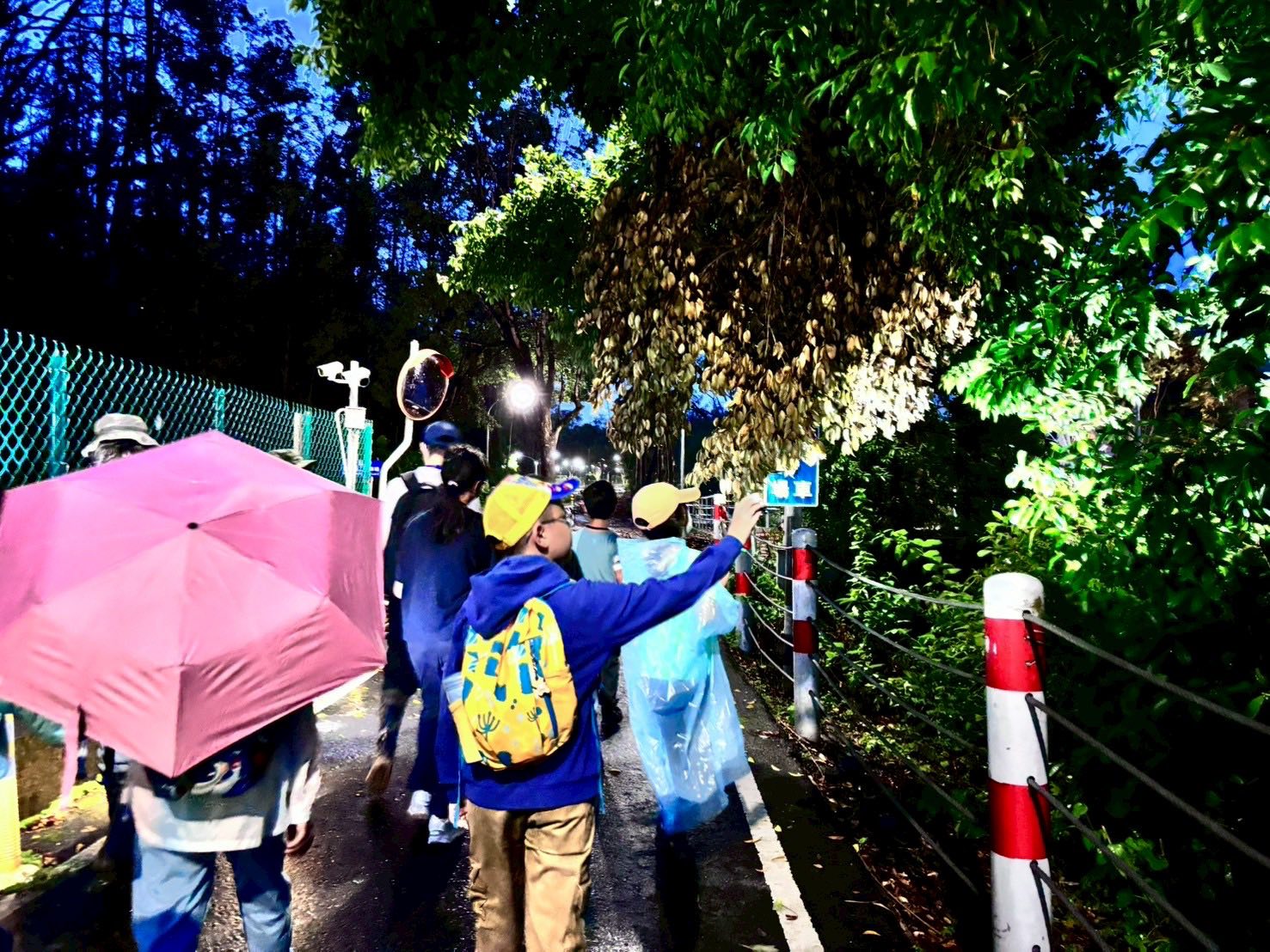 嘉博館《來嘉找蛙生態營》圓滿落幕　學童走進自然成為小小行動家