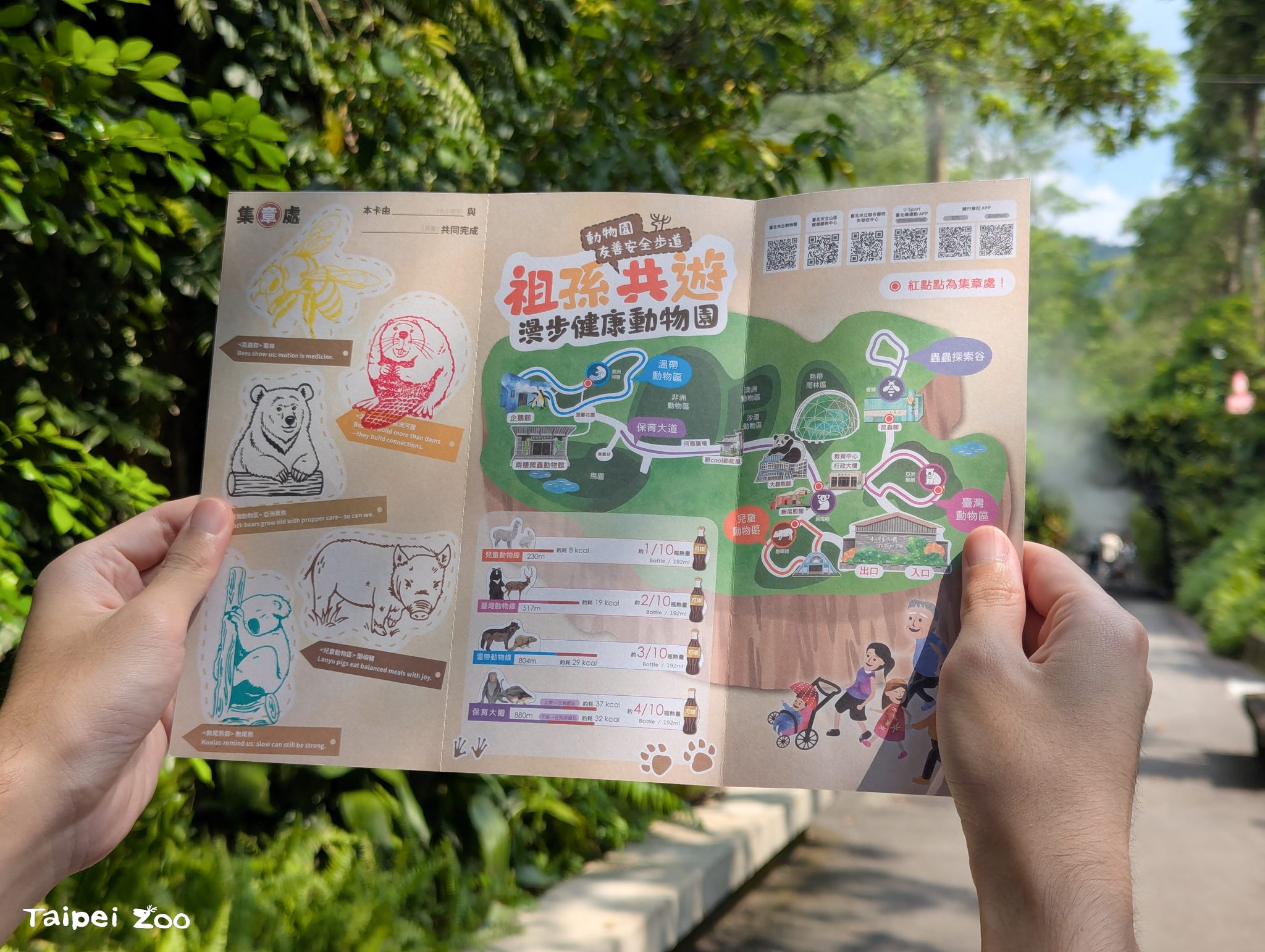 祖孫共遊北市動物園　健走體驗樂齡生活5部曲