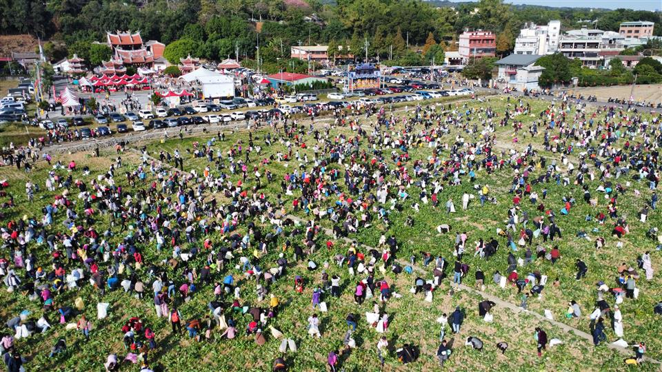 「2026芬響農食典白寶玉出土記」熱鬧登場 千人齊聚芬園體驗拔蘿蔔