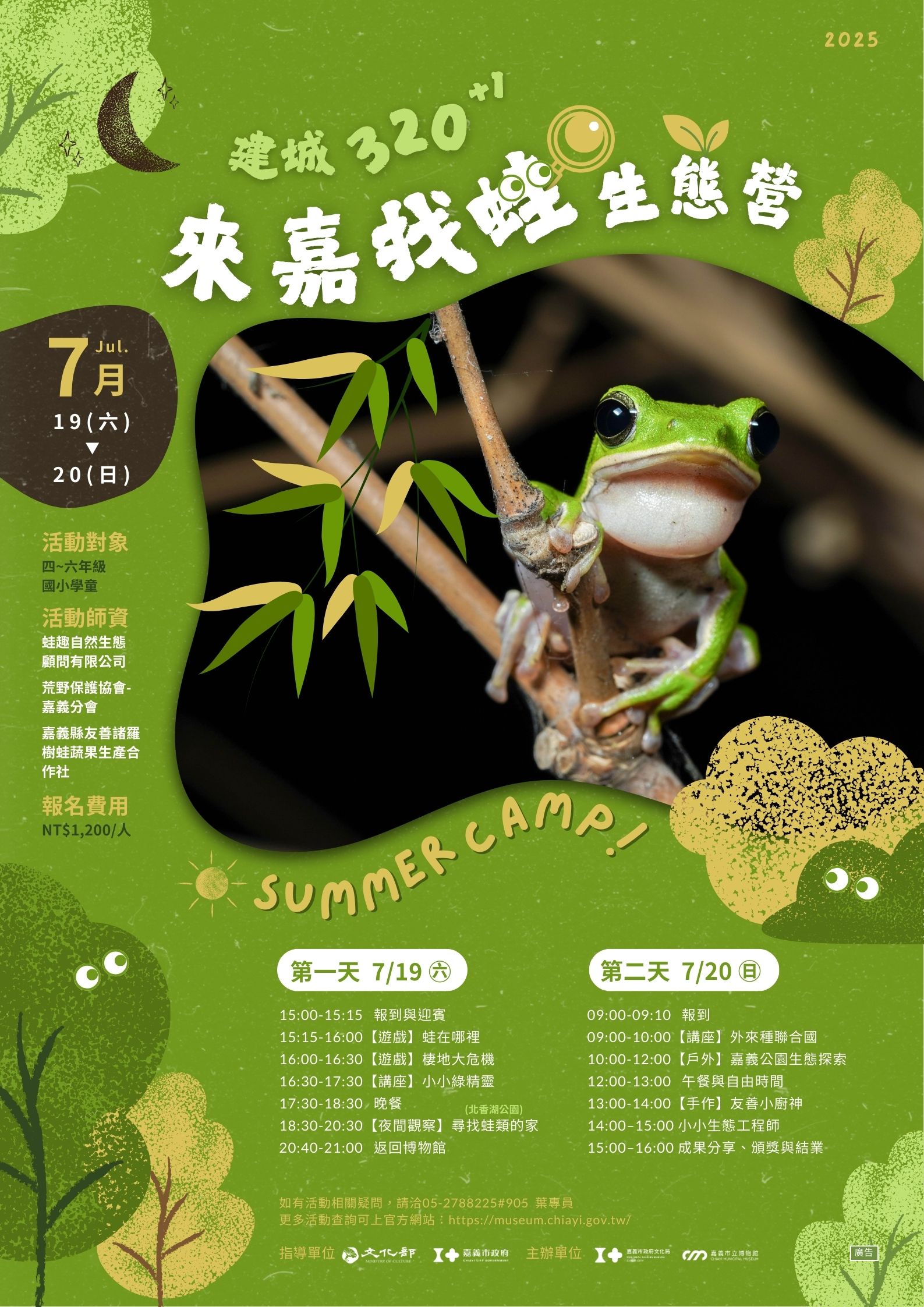 限額40人！嘉市博物館辦「來嘉找蛙」生態營　認識諸羅樹蛙魅力