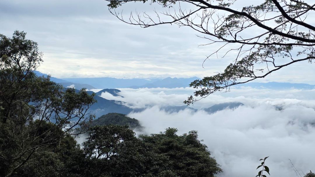 大雪山國家森林遊樂區野生版《動物森友會》