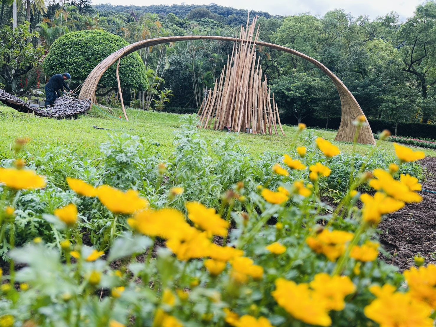 今年的菊展不一樣！士林官邸跨界藝術、宮廟文化　打造最台味花藝盛宴