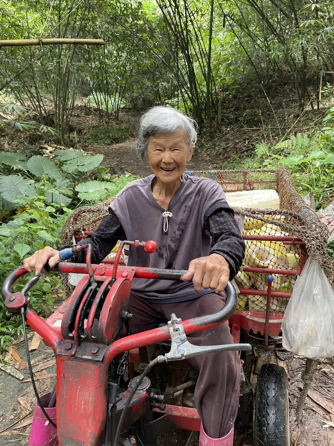 全村最年長筍農！雲林91歲曾阿嬤的「超狂」日常：凌晨開搬運車上山採筍