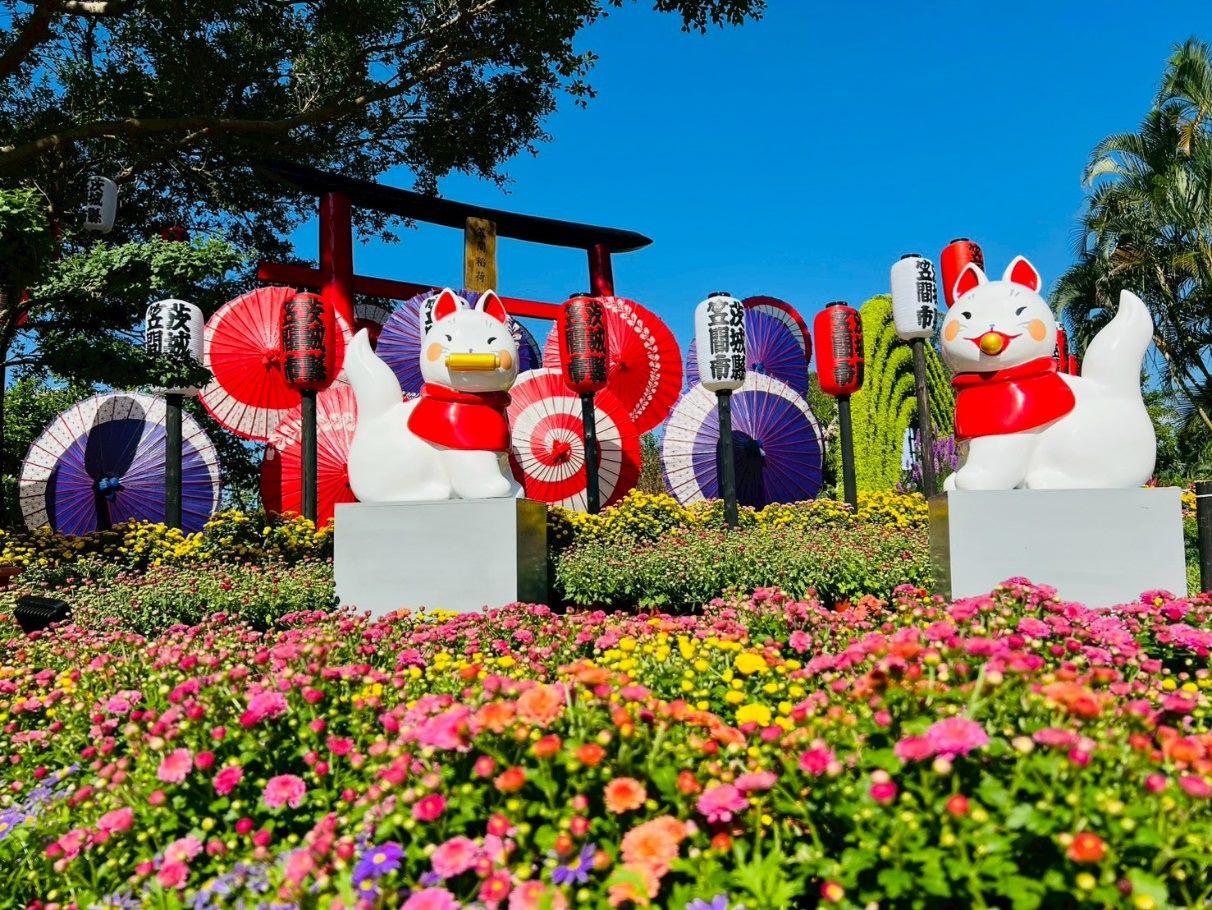 士林官邸菊展最佳賞花期 12 月上旬　攝影與短影音募集同步開跑