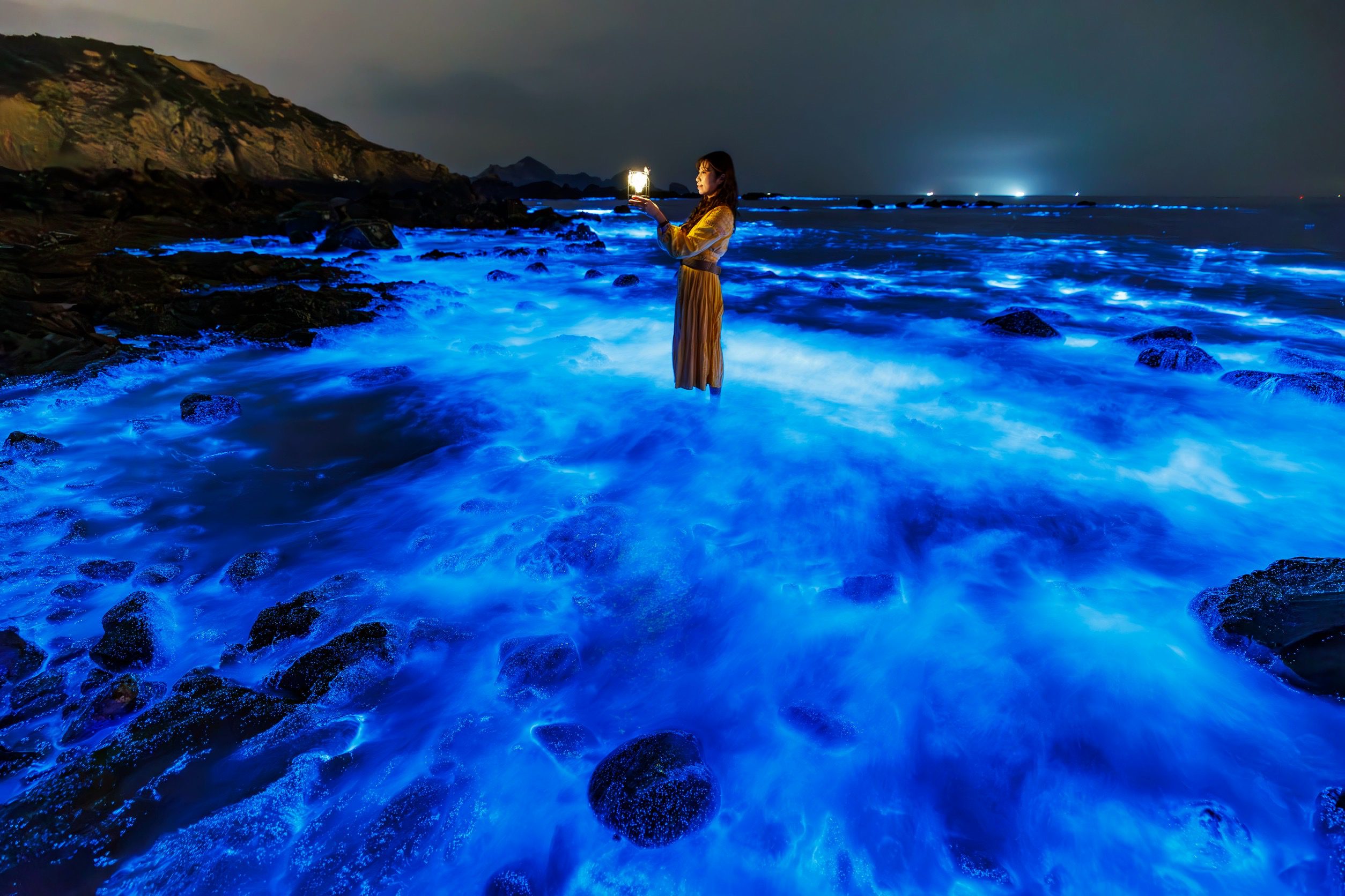 愛在馬祖 情定島嶼 北海遊憩區聯合婚禮X藍眼淚 浪漫上映