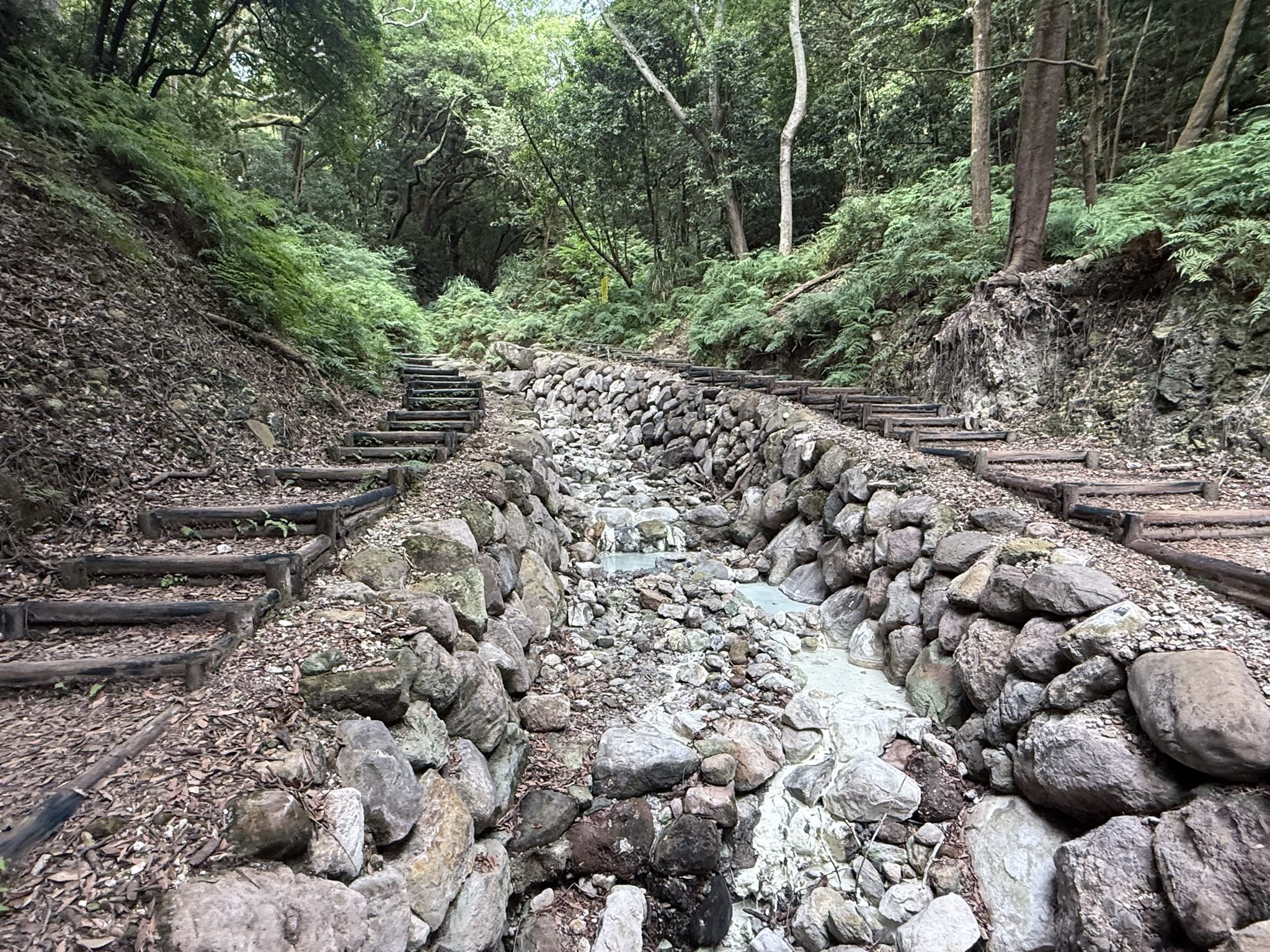 硫磺溫泉溪谷相伴 陽明山秘境「紫明溪步道」 療癒木屑小徑 硫磺溫泉溪谷相伴 陽明山秘境「紫明溪步道」 療癒木屑小徑