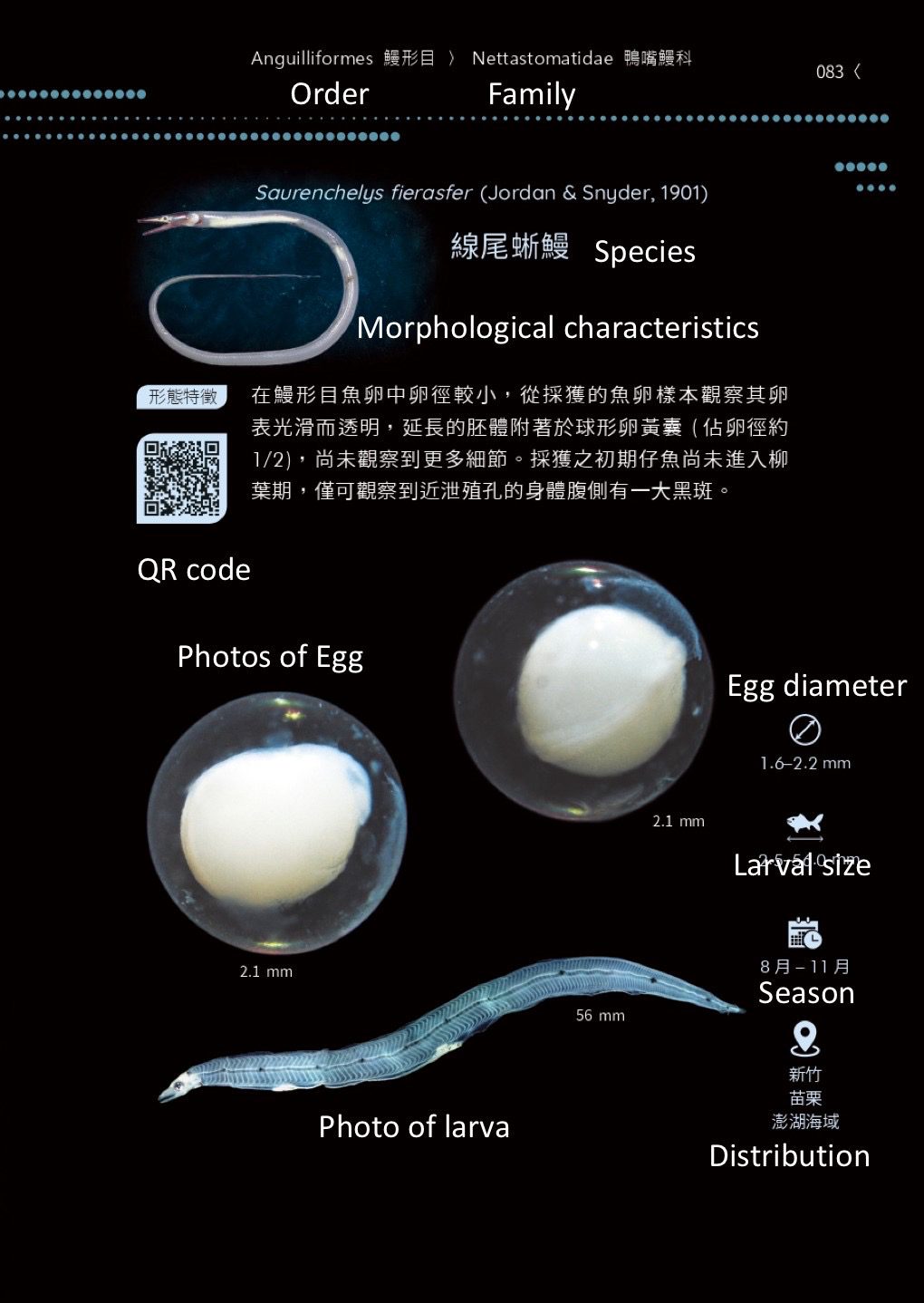 全球首套經DNA驗證的魚類早期生活史圖鑑　 《魚大十八變-魚卵及仔稚魚多樣性圖鑑》