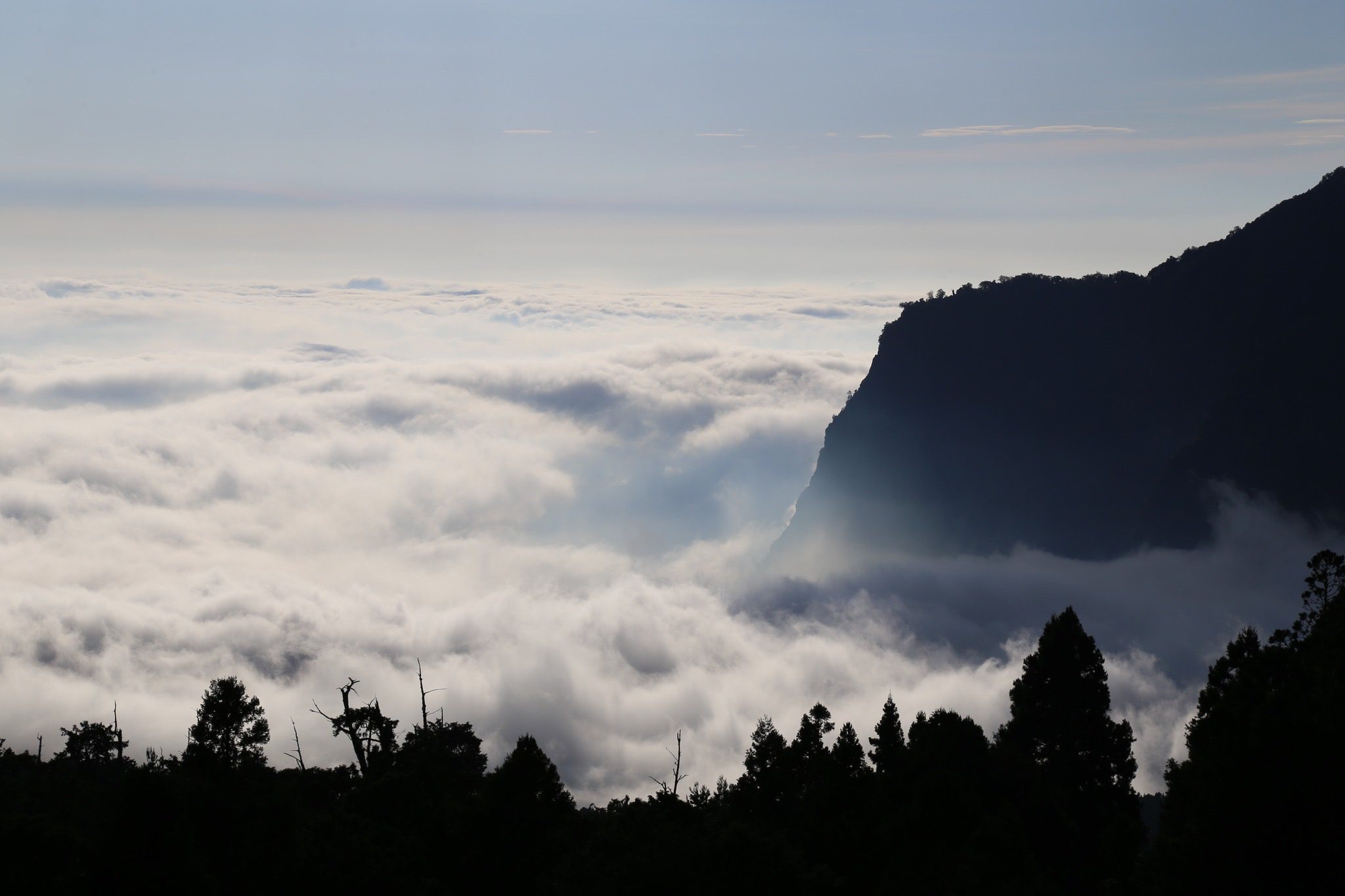 阿里山賓館推鐵道秘境  山村小旅行套裝遊程