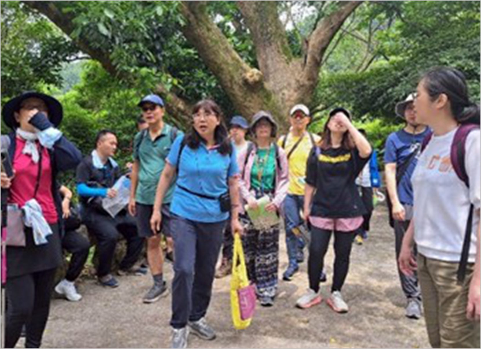 綠竹筍新鮮上桌！ 名廚料理秀、美食市集，還有觀音山美景等你來暢遊