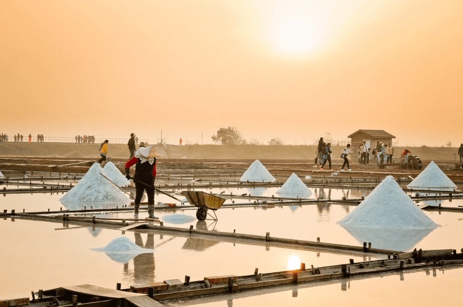 【2025一見雙雕藝術季】進入倒數兩週  鹽雕、光雕雙饗宴11月15日華麗落幕