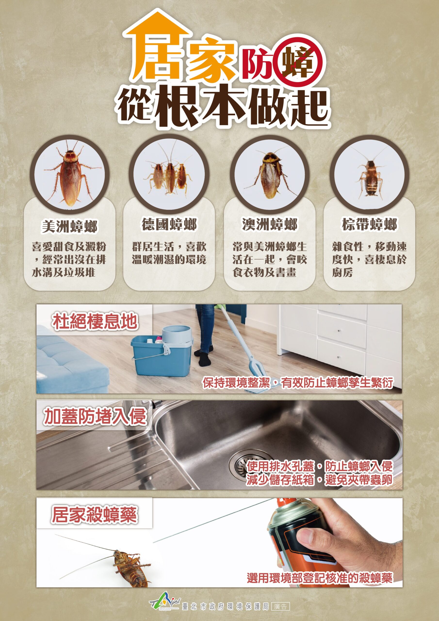 別讓「小強」太猖狂！　防蟑三寶守護居家健康
