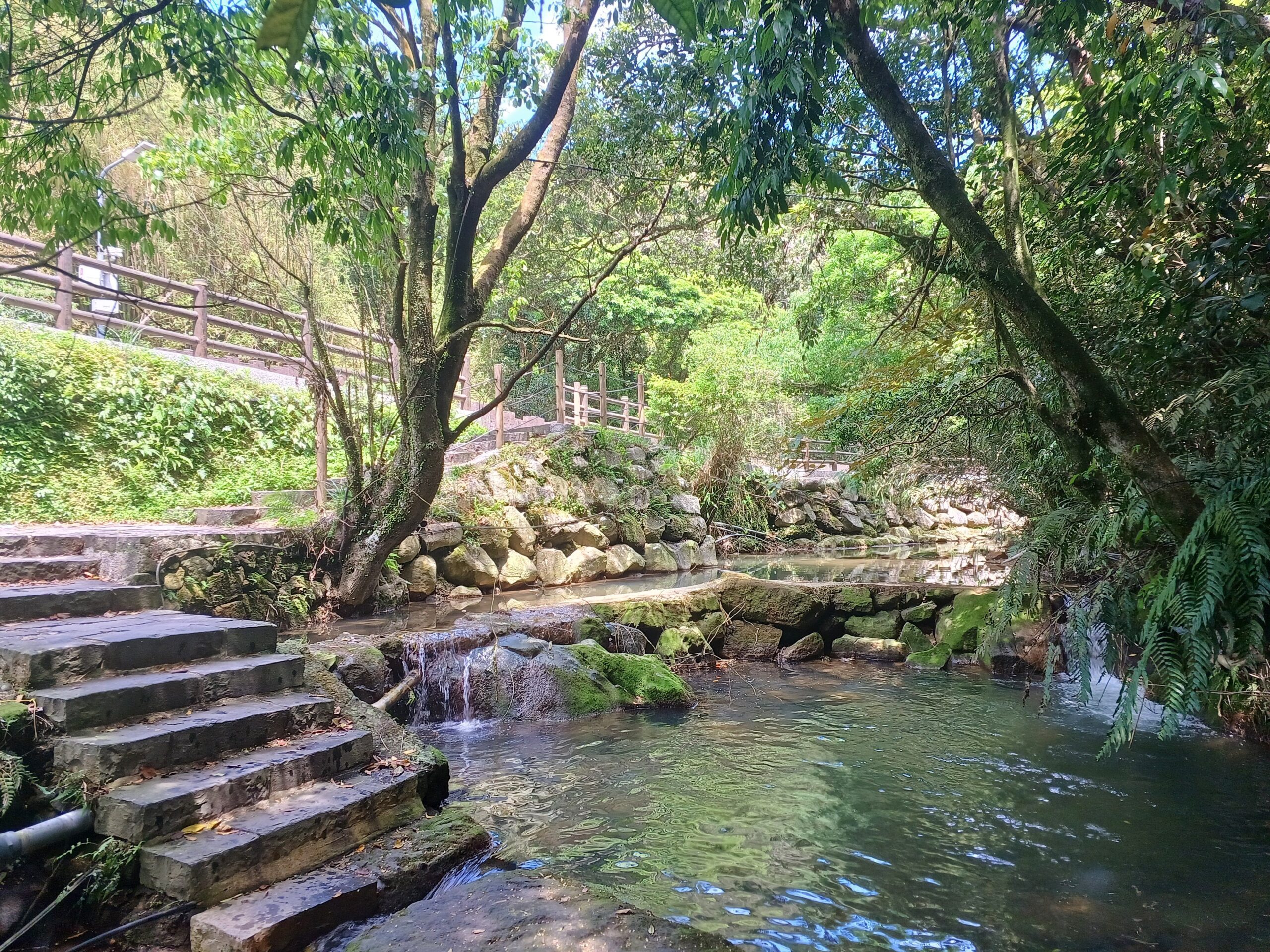 繡球花開迎初夏　北投湖田打造農村風情慢旅日常