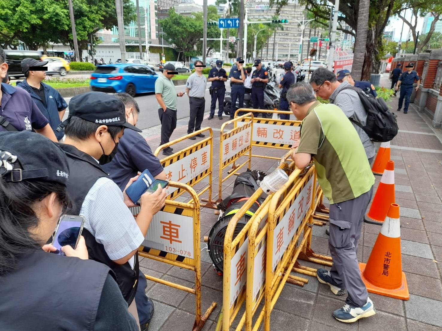 史上最狂抗議！飼主不滿斷生計　載3米巨鱷直衝立院