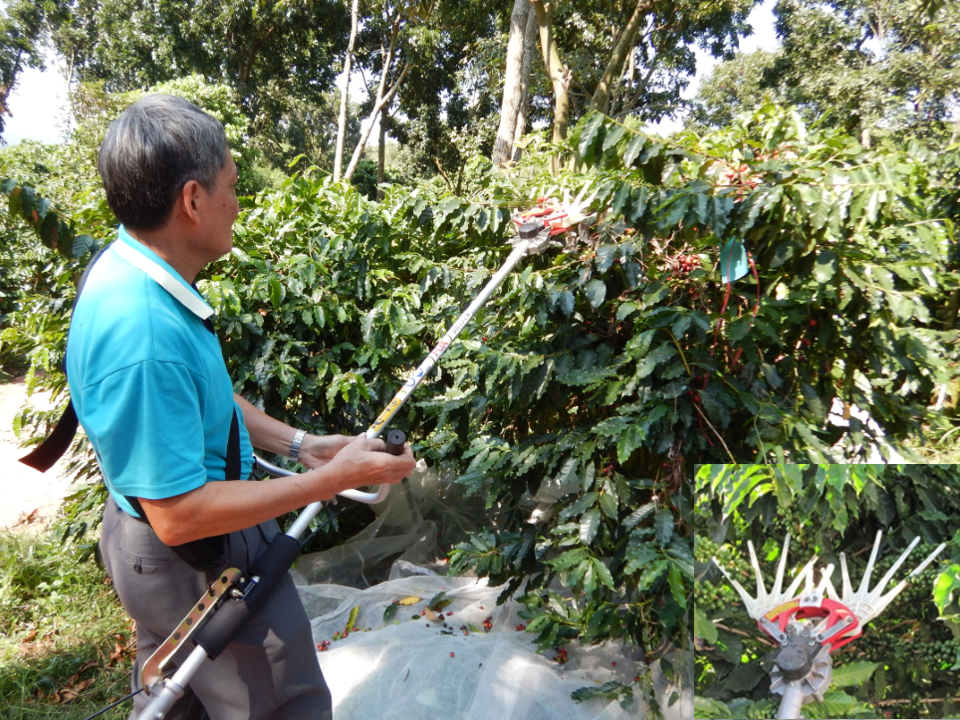 推動咖啡一貫機械化  開創智慧產製新紀元