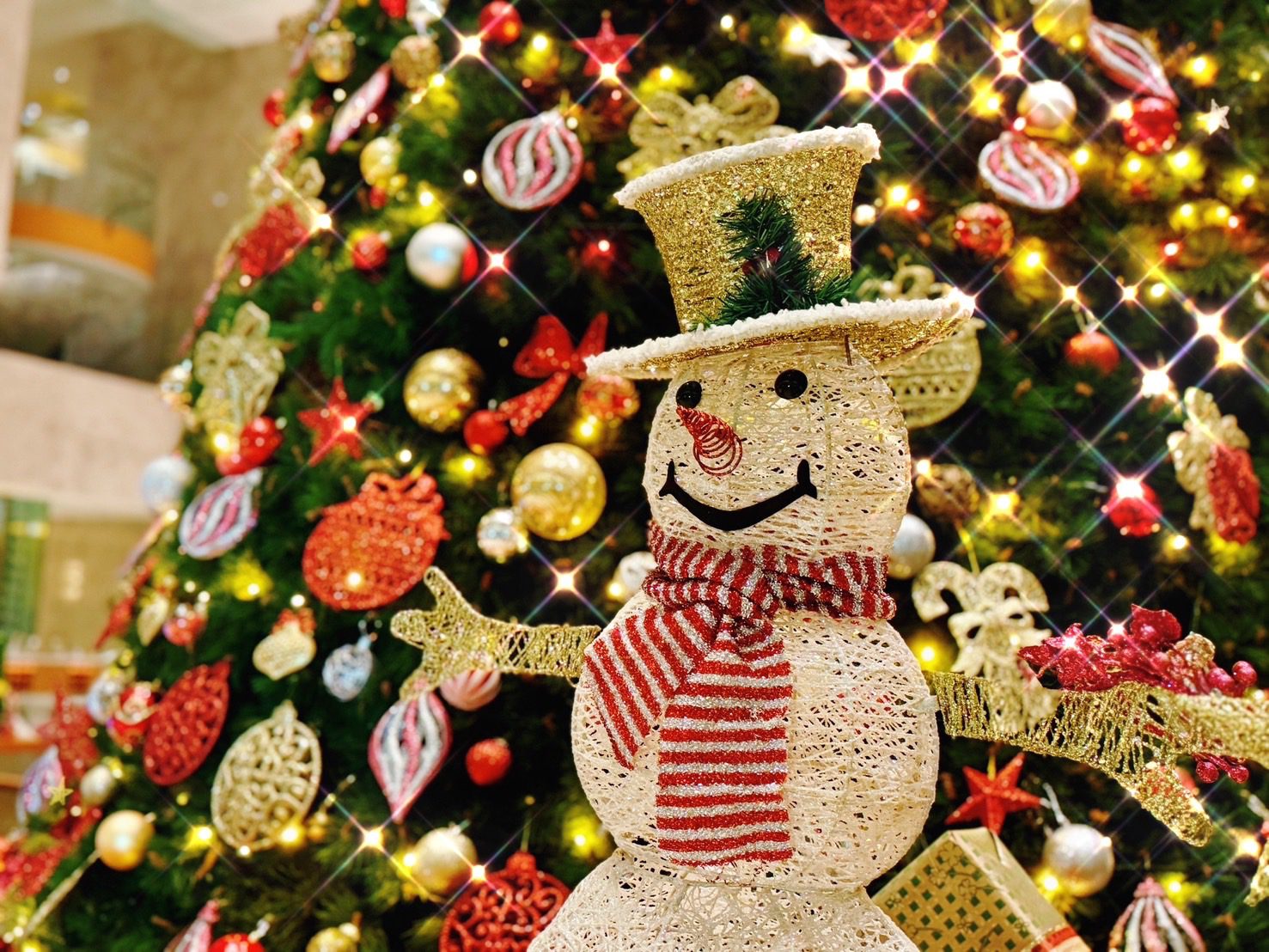 點亮台南聖誕季！台南遠東香格里拉打造冬日藝饗盛典 音樂會、點燈儀式與佳餚同步登場