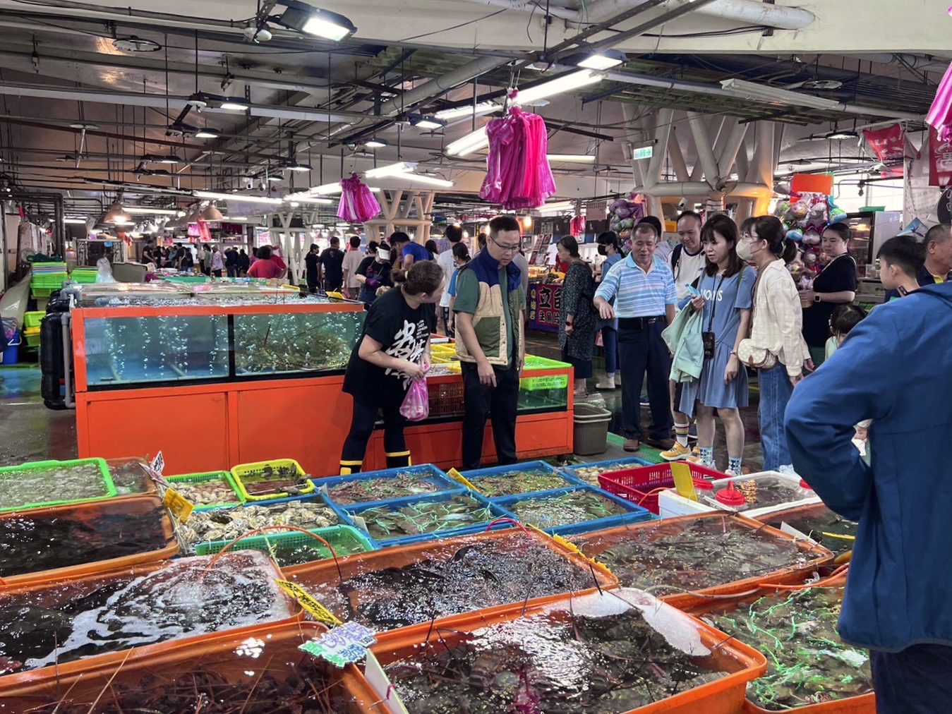 國內現今年首例本土傷寒　疑因食用受污染海鮮感染