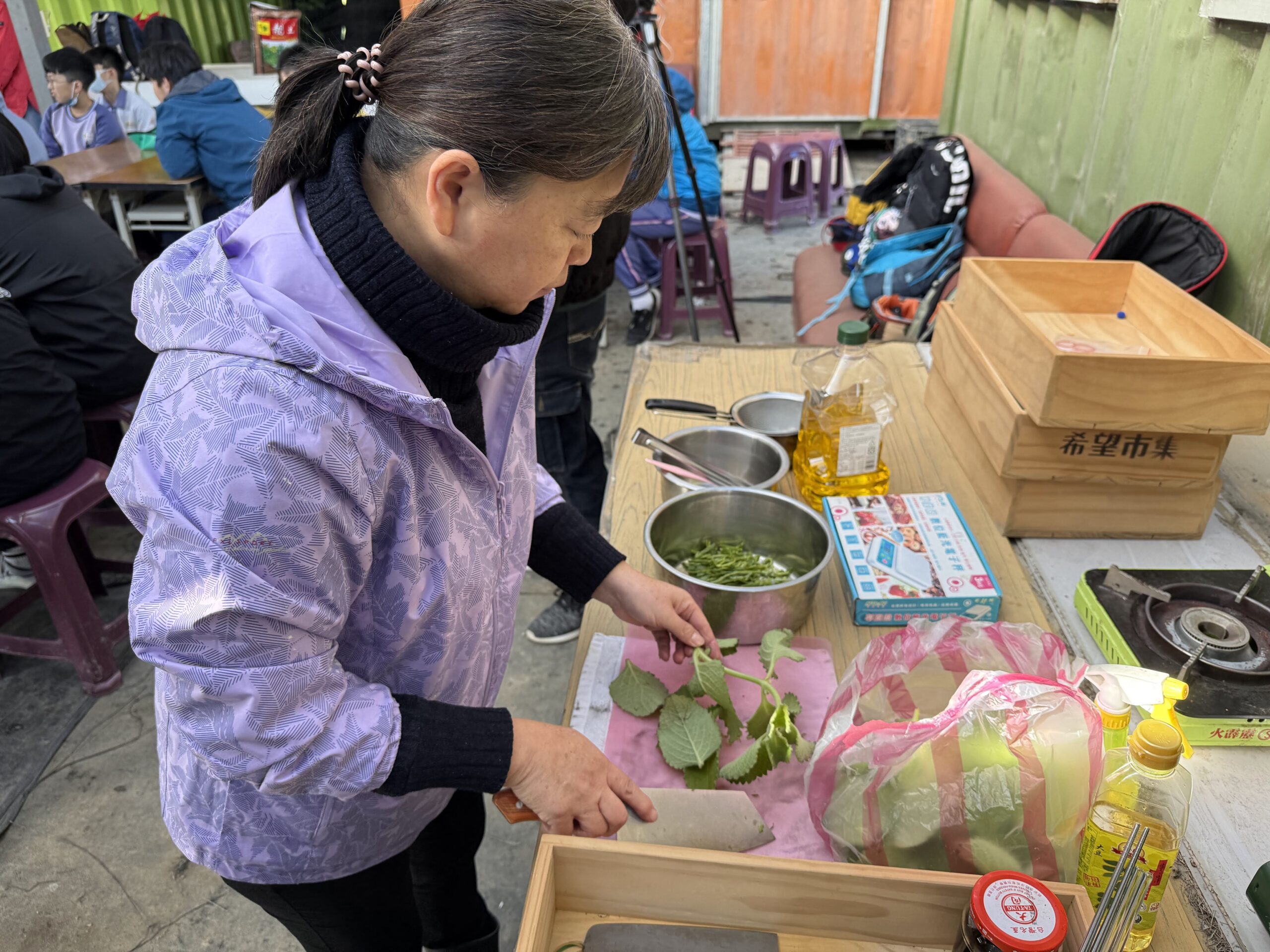 新北推食農教育　 新泰國小學童在樹林康維有機農場　體驗實作課程收穫多