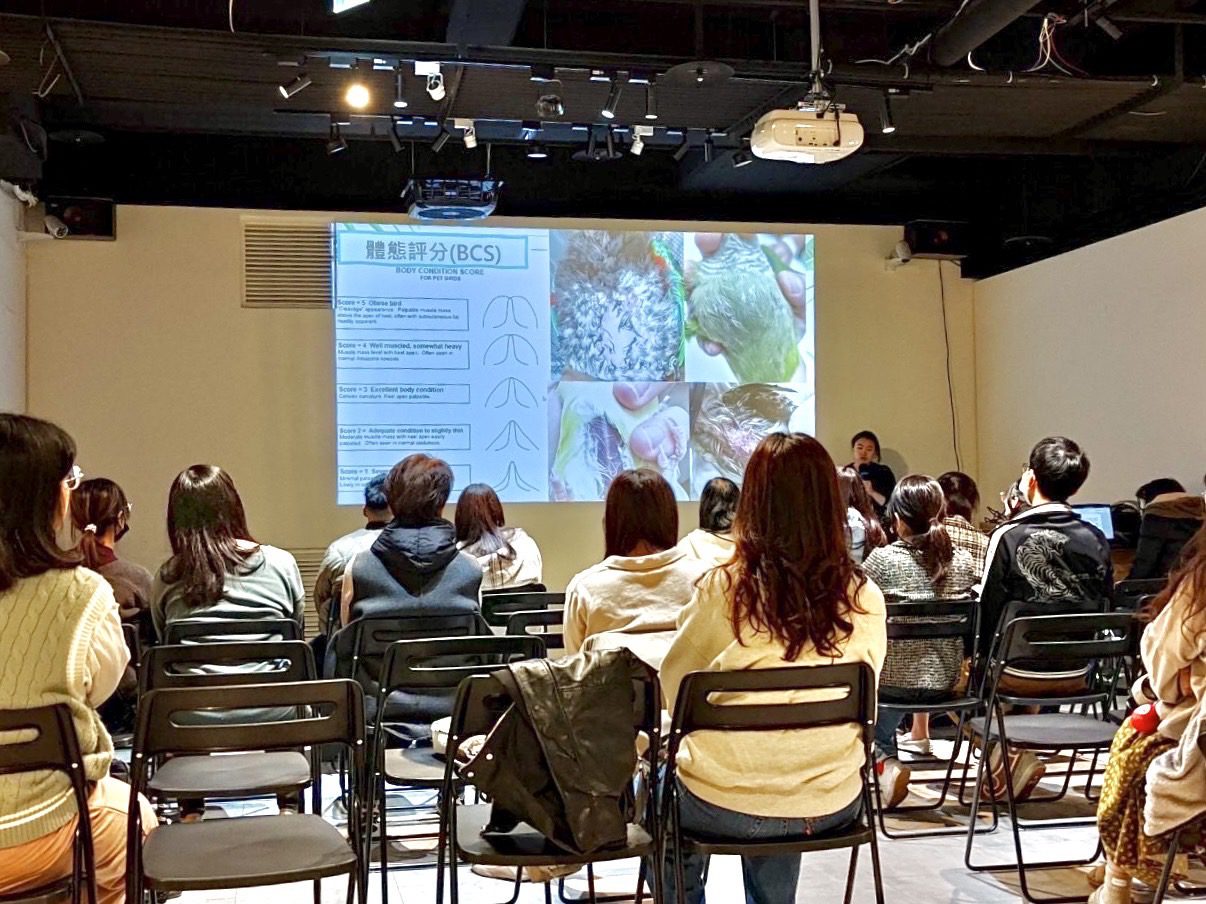 「鸚為有你－特殊寵物飼養講座」首場登場！　帶您認識鳥寶貝飼養照護及健康知識