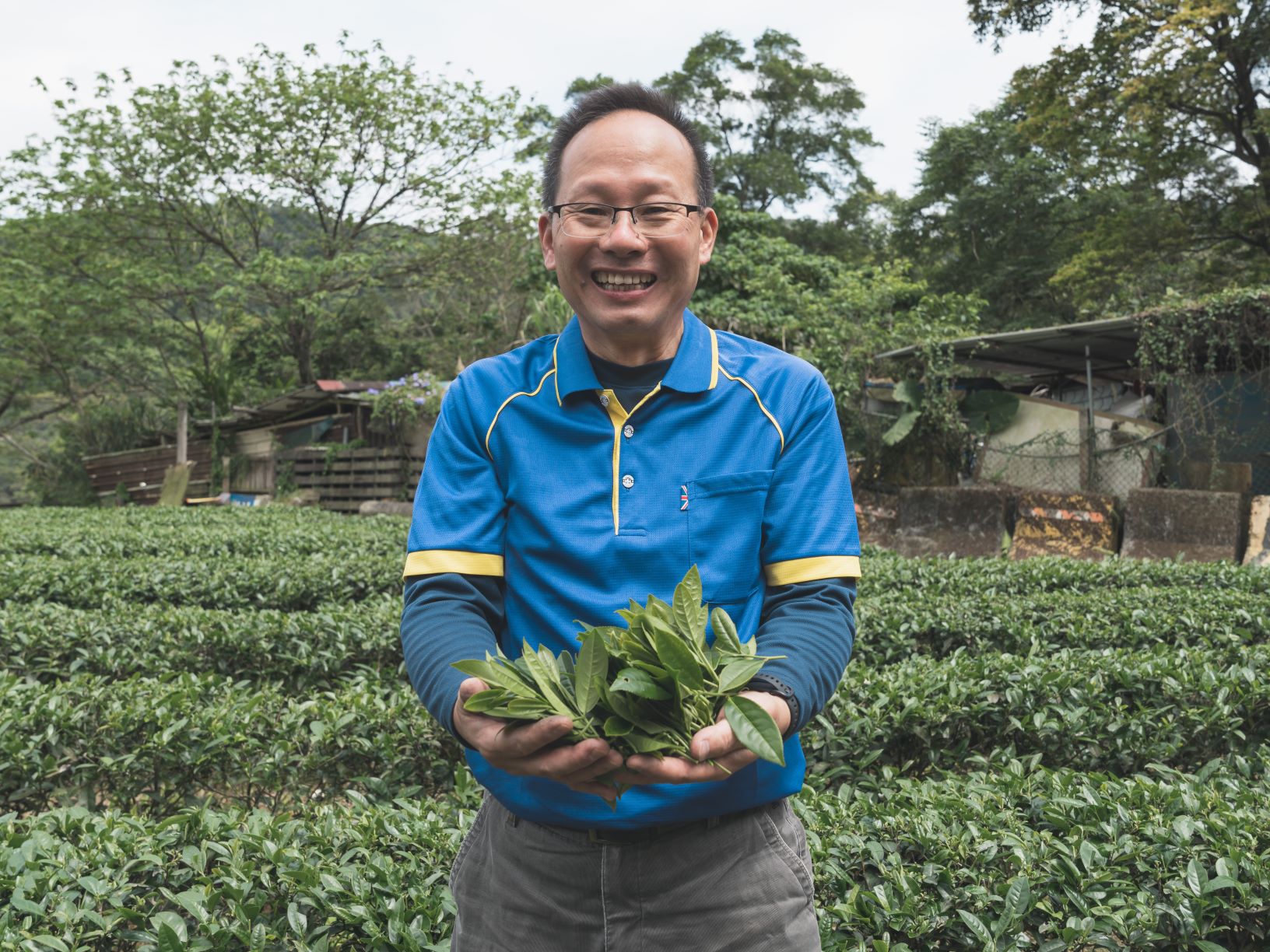 新北深坑農會總幹事黃土水　投入製茶產業　奪特等展現硬實力